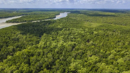 Da Amazônia ao Alasca: estudo alerta para impactos do El Niño em 2024