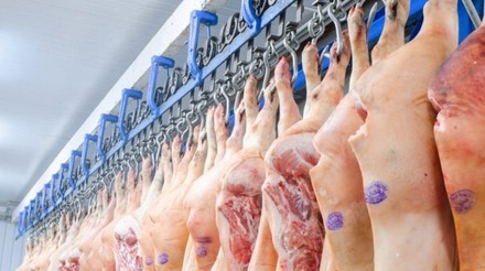 Comissão Europeia projeta estabilização no mercado de carne suína para 2024
