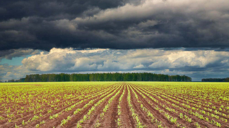 El Niño impulsiona aumento nos preços de commodities agrícolas