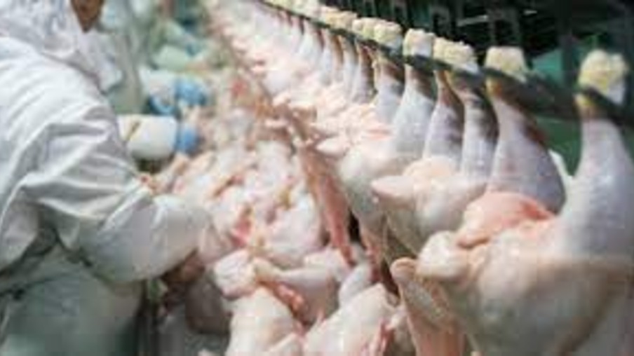 Abertura do mercado de Butão pode impulsionar exportações de carne de frango na Ásia