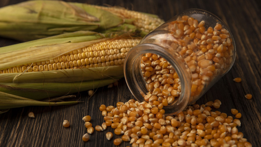Oferta de milho no spot nacional diminui, e indicador retorna aos níveis de abril
