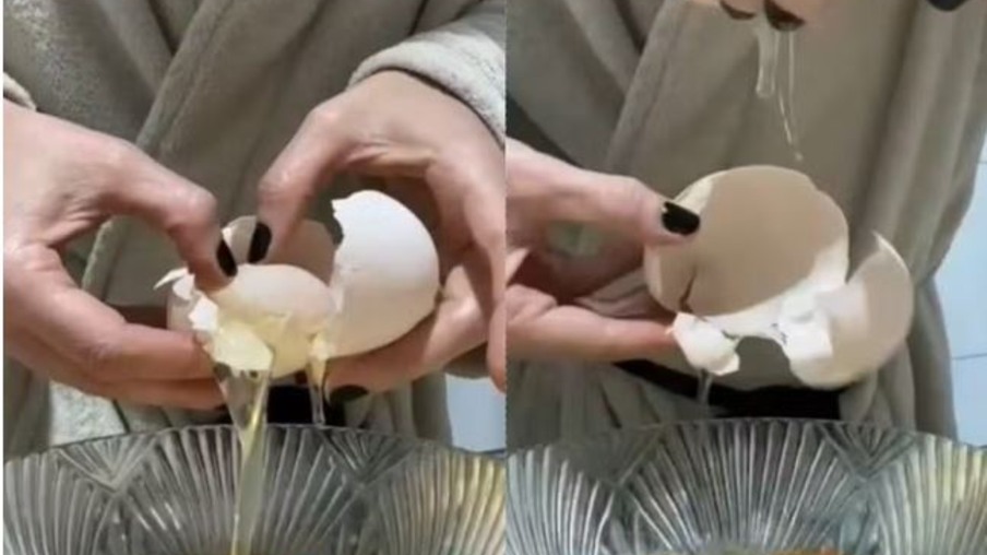 Galinha põe ovo 'gigante' com outro inteiro dentro; veja o vídeo