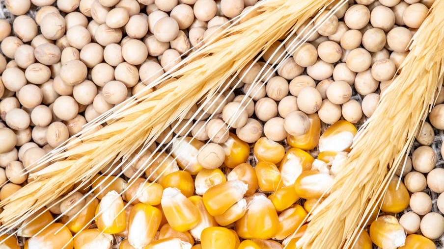 Oscilações no mercado de grãos: soja e milho em queda
