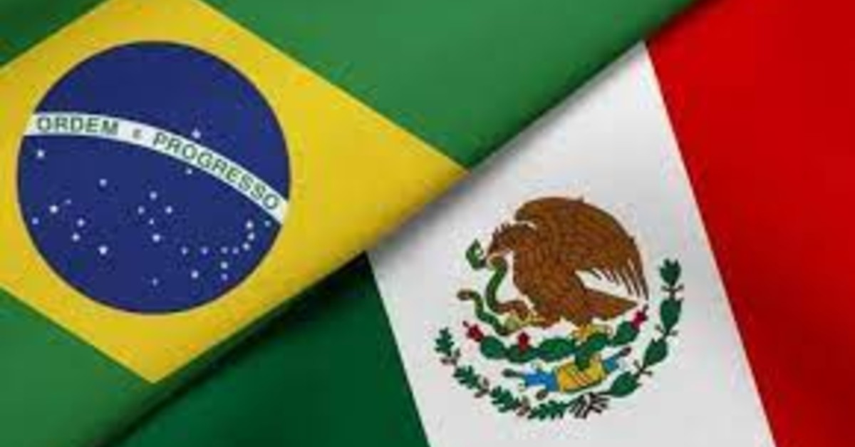 Brasil y México estudian un plan regional para combatir la gripe aviar y mantener el comercio