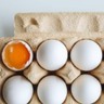 Preços dos ovos comerciais caem após um mês de estabilidade, indica Cepea