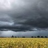 Confirmação do La Niña mantém produtores rurais em alerta
