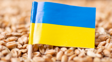 UE chega a acordo com a Ucrânia, mas impõe limites às importações de grãos