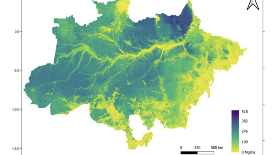 Novo mapa traz levantamento total da biomassa da Amazônia