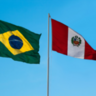 Brasil conquista abertura de mercado no Peru para exportação de hemoderivados de suínos