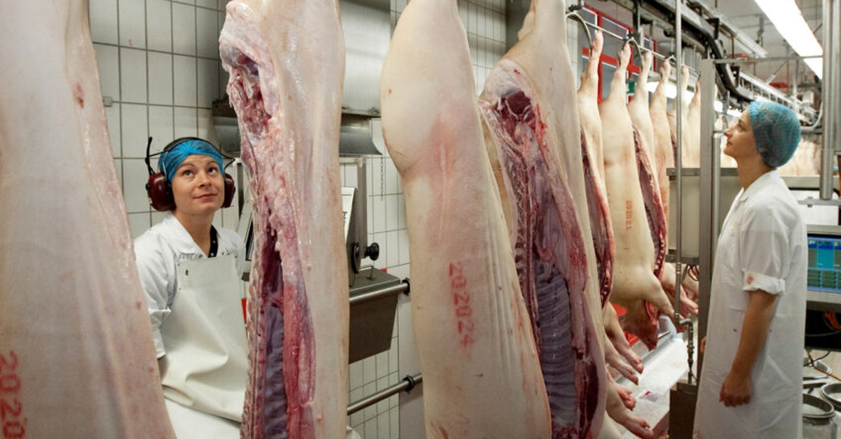 Produção de carne suína no Brasil deve crescer 2,3% em 2024