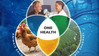 Webinar sobre One Health acontece nesta sexta-feira; veja como se inscrever