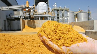 Brasil amplia exportação de farelo de milho para Vietnã, Tailândia, Turquia e Nova Zelândia