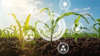 Mapa e Serpro celebram acordo de cooperação para a criação da Plataforma Digital de Inovação Agropecuária