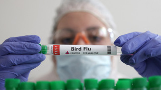 FILE PHOTO: A person holds a test tube labelled "Bird Flu", in this picture illustration, January 14, 2023. REUTERS/Dado Ruvic/Illustration