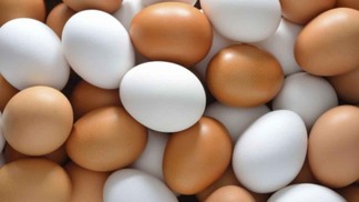 Exportações de ovos do Brasil diminuem em março, aponta Cepea