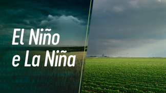 El Niño: Inmet prevê enfraquecimento a partir de abril e possibilidade de La Niña no 2º semestre