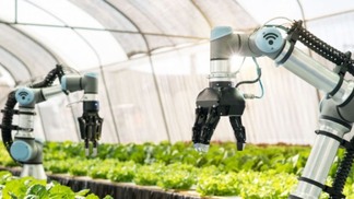 Agro digital: Inteligência Artificial e a evolução do agronegócio