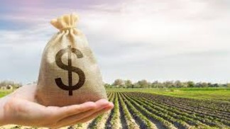 Mudanças na Lei de Recuperação Judicial podem afetar financiamento do agronegócio