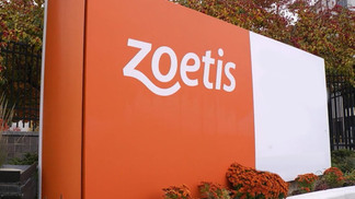 Zoetis acorda venda de portfólio de aditivos para ração à Phibro por US$ 350 milhões