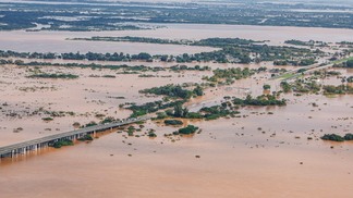 Enchentes no RS: pecuária acumula prejuízos de mais de R$ 130 milhões, segundo CNM