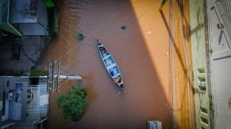 Cepea: dificuldades logísticas afetam avicultura no RS após enchentes