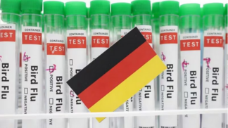Alemanha relata surto de gripe aviária na parte norte do país