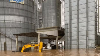 Lavouras de soja são destruídas pelas chuvas no RS — Foto: Carlos Cogo