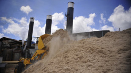 Seis termoelétricas de biomassa poderão se instalar no MS