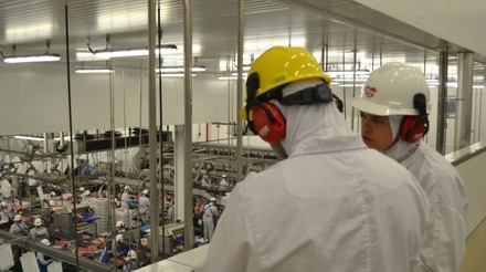 As exportações brasileiras de carne suína em 2022