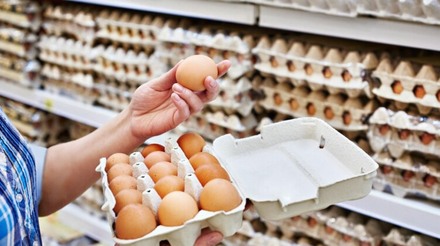 Preços dos ovos se mantêm estáveis no início de maio, mas demanda pode aquecer próximo ao Dia das Mães