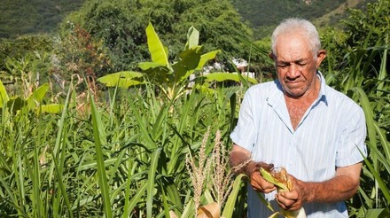 Congresso aprova auxílio emergencial à agricultura familiar, que depende de sanção presidencial