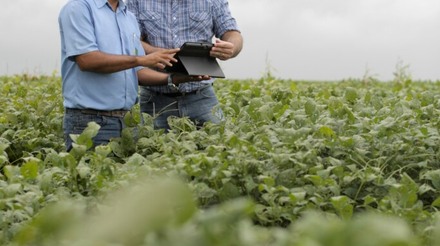 Agricultura conectada: startups apostam no campo