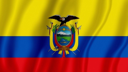 Qual é a situação da influenza aviária no Equador?