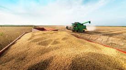Custos de produção dos grãos na Argentina atingem patamar mais alto em sete anos