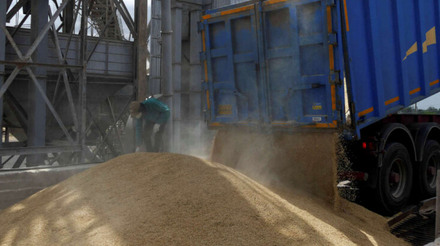 Preços dos grãos sobem após Rússia atacar Terminal Ucraniano no Rio Danúbio