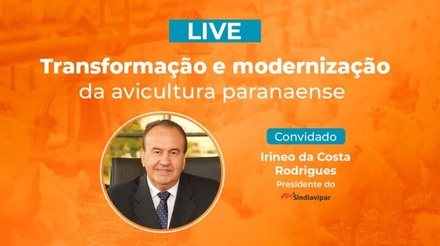 TV Gessulli entrevista o presidente do Sindiavipar, Irineo da Costa Rodrigues