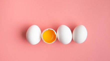 Exportações de ovos registra aumento de 381,6% em agosto