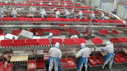 Maior produtora de suínos do mundo teve aumento de 34,6% no lucro em 2022
