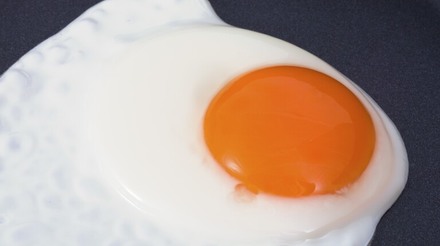 Estudos afirmam que o consumo de ovo na infância ajuda no desenvolvimento do cérebro