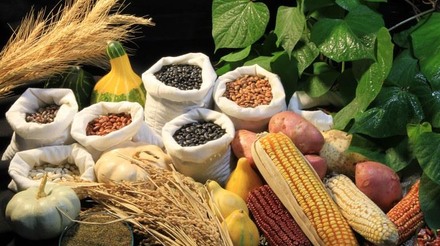 Novas regras para uso de sementes no Brasil entram em vigor em março