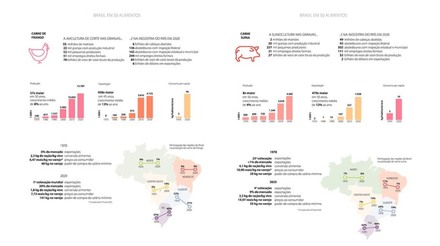 Infográficos da Embrapa apresentam a evolução nos últimos 50 anos das cadeias produtivas das carnes de frango e suína e da produção de ovos