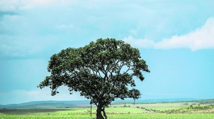 Santa Catarina institui Plano Agricultura de Baixa Emissão de Carbono
