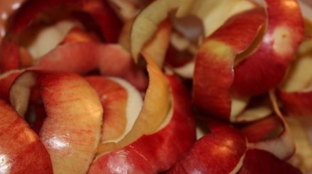 Cientistas brasileiros produzem biogás com bagaço de maçã