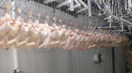 Climatização das salas para processamento de proteína animal - Por Geraldo Lopes Passarelli