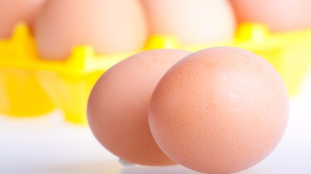 APA anuncia slogan do Congresso de Ovos: "Ovo para uma vida saudável"
