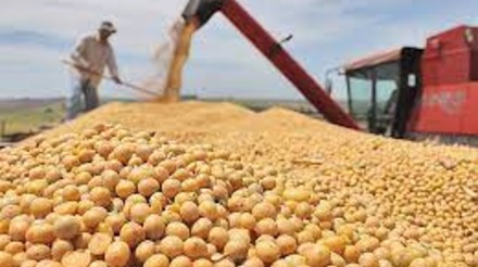 Mercado da soja atinge maior patamar desde abril de 2023