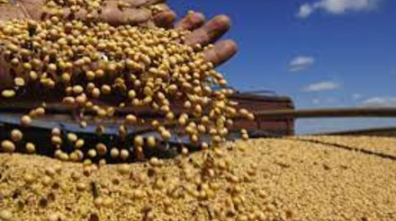 Exportadores dos EUA registram venda de 121 mil toneladas de soja para a China