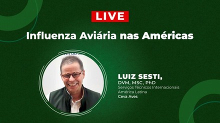 LIVE: Influenza Aviária nas Américas, especialista debate o tema na TV Gessulli às 11h