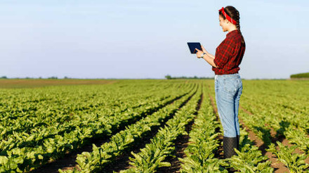 Canadá: Governo promove medidas para adoção de tecnologias limpas na produção agrícola