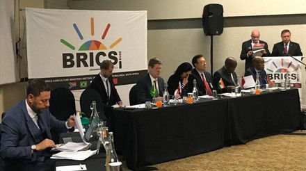 Em reunião, Blairo Maggi pede ações mais concretas ao Brics
